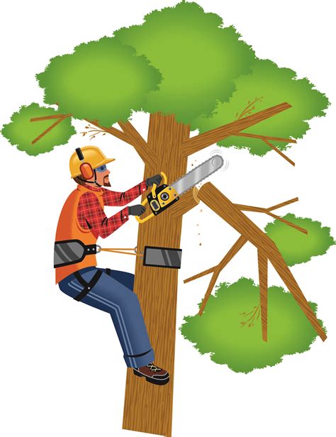 Highest-Quality Tree Trimming Clipart: Get Your Designs Noticed